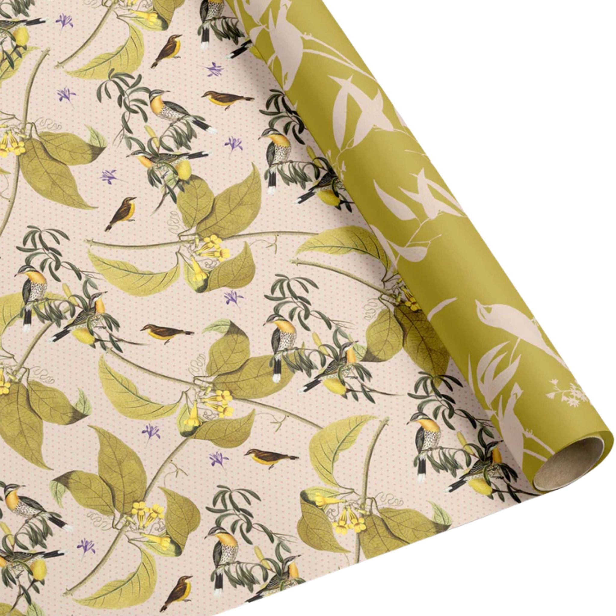 Australian Birds Double-Sided Wrapping Paper